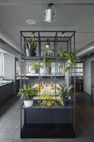 Rendelésre készített reggeli mindennap (fejenként EUR 25 áron)