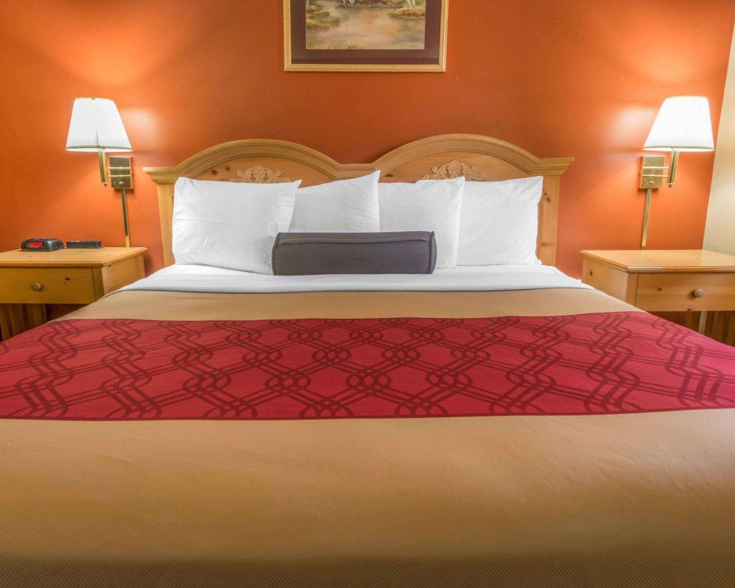 A hotel room with a wooden headboard, white bedding, a red patterned bedspread, and two bedside lamps.