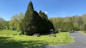 Ein Park mit Picknicktischen, einem Spielplatz und einer großen Nadelbaumgruppe.