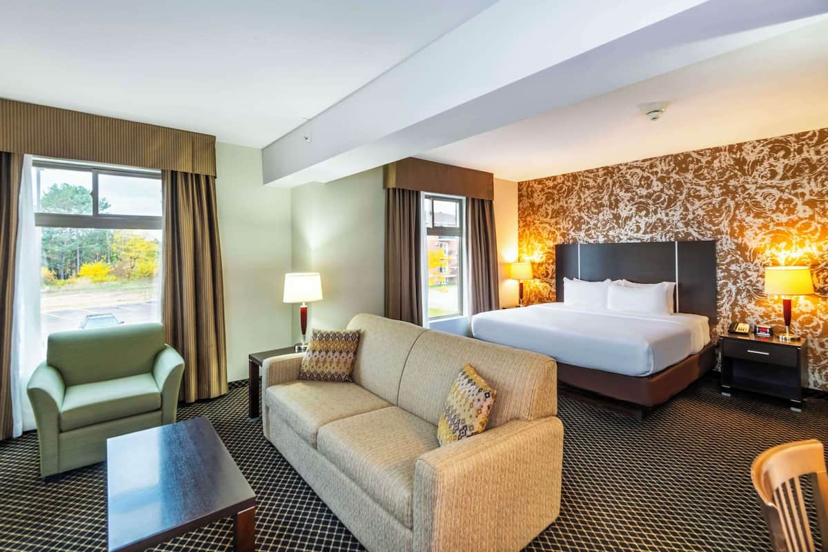 suite, 1 king bed with sofa bed, accessible, non smoking | 1 bedroom, pillow-top beds, laptop workspace, blackout curtains