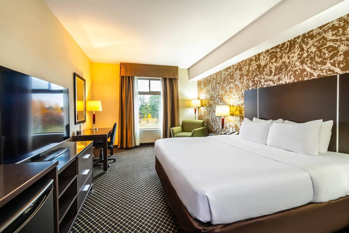 Standard Room, 1 King Bed, Non Smoking