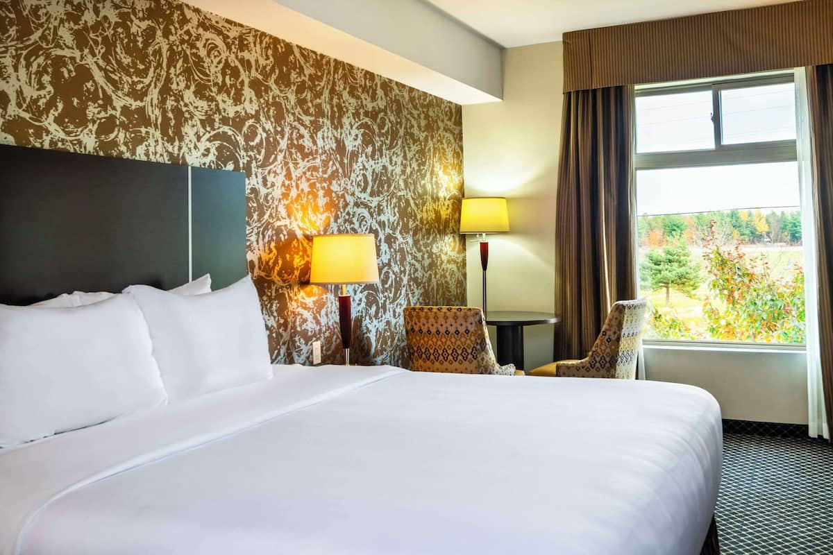 Standard Room, 1 King Bed, Non Smoking | 1 bedroom, pillowtop beds, laptop workspace, blackout drapes