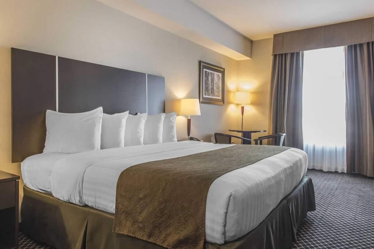 Pillow-top beds, laptop workspace, blackout curtains, iron/ironing board