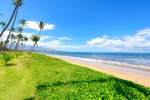 Suite, 1 Bedroom, Hot Tub, Beach View (Queen Suite
) | Beach | On the beach