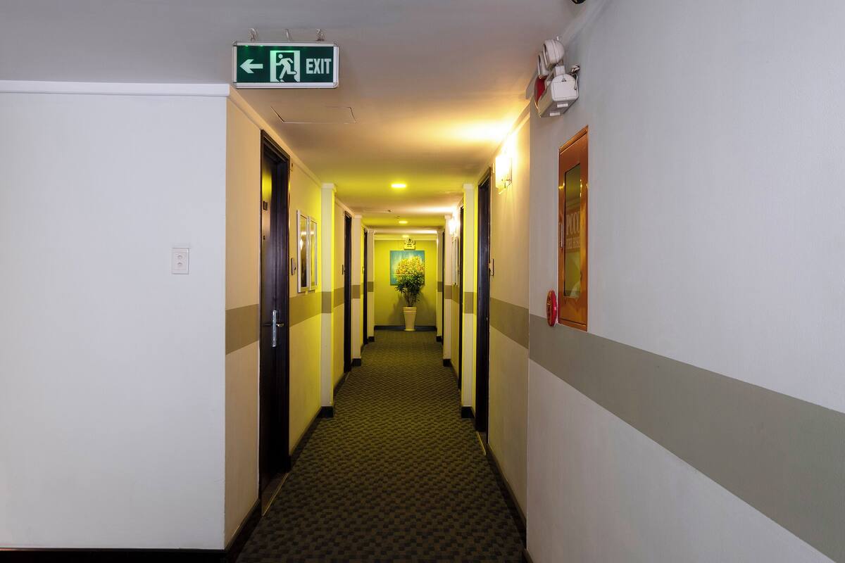 A hotel hallway with a green exit sign, a potted plant, and framed pictures on the walls.