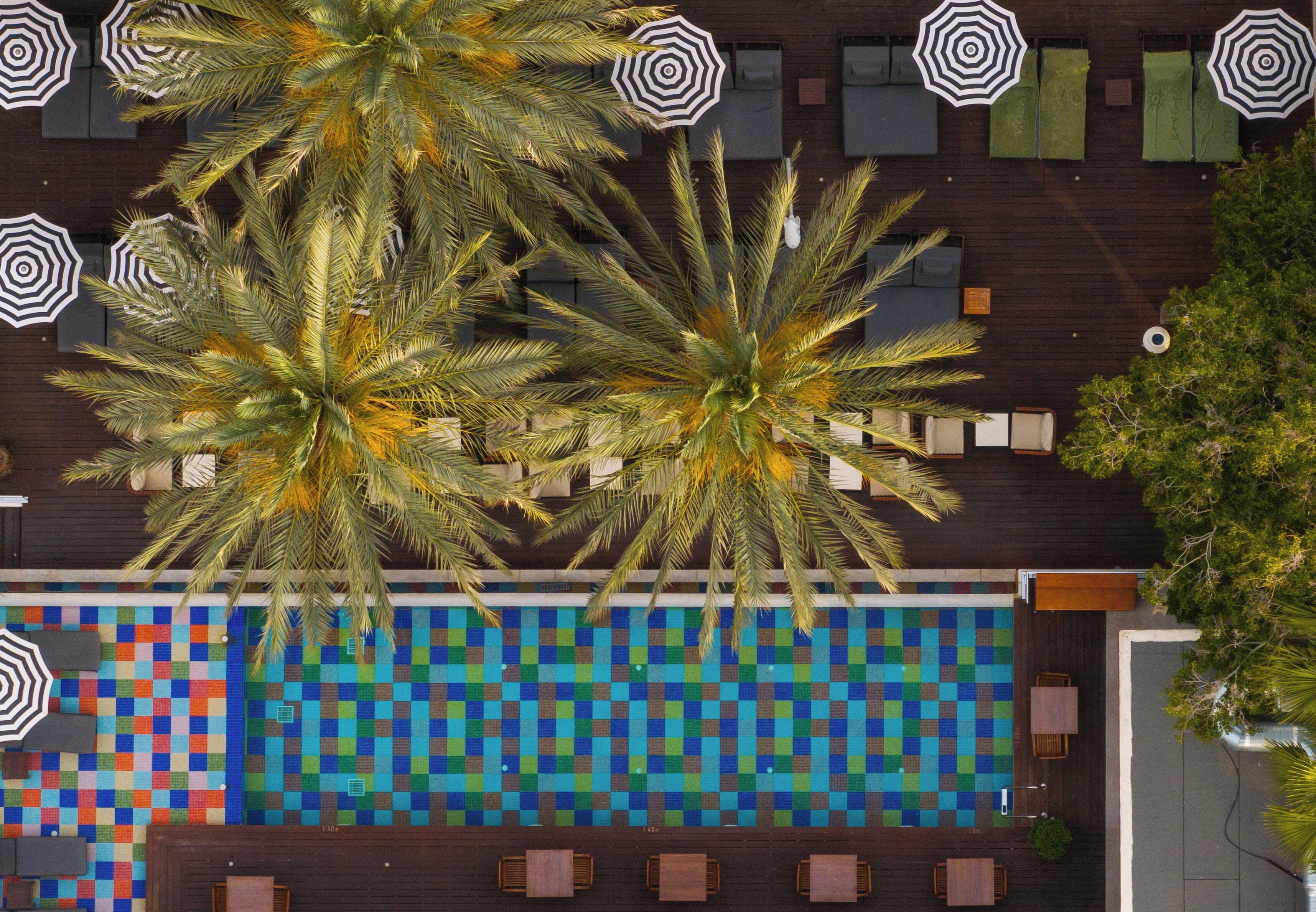 室內游泳池和4 座室外游泳池，提供泳池遮陽傘和日光浴躺椅