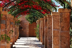 Un camino de piedra que lleva a una puerta de madera, rodeado de arcos con flores rojas.
