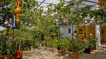 Jardin
