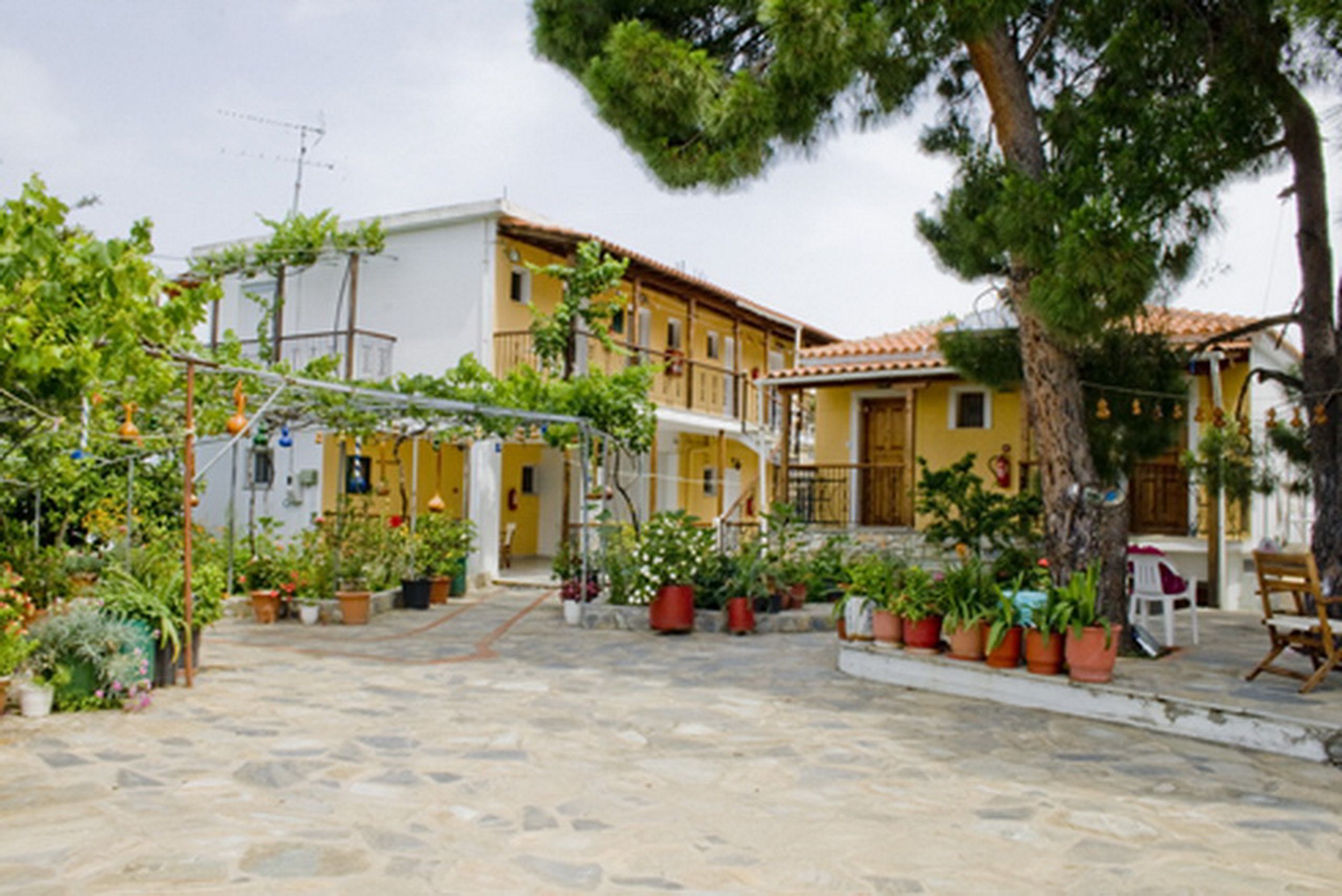 Photo - Villa Kavourakia
