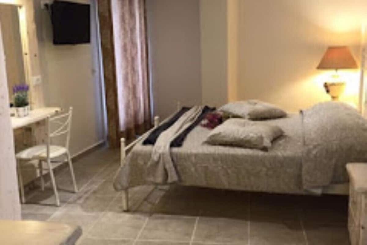 standard room | living area | tv