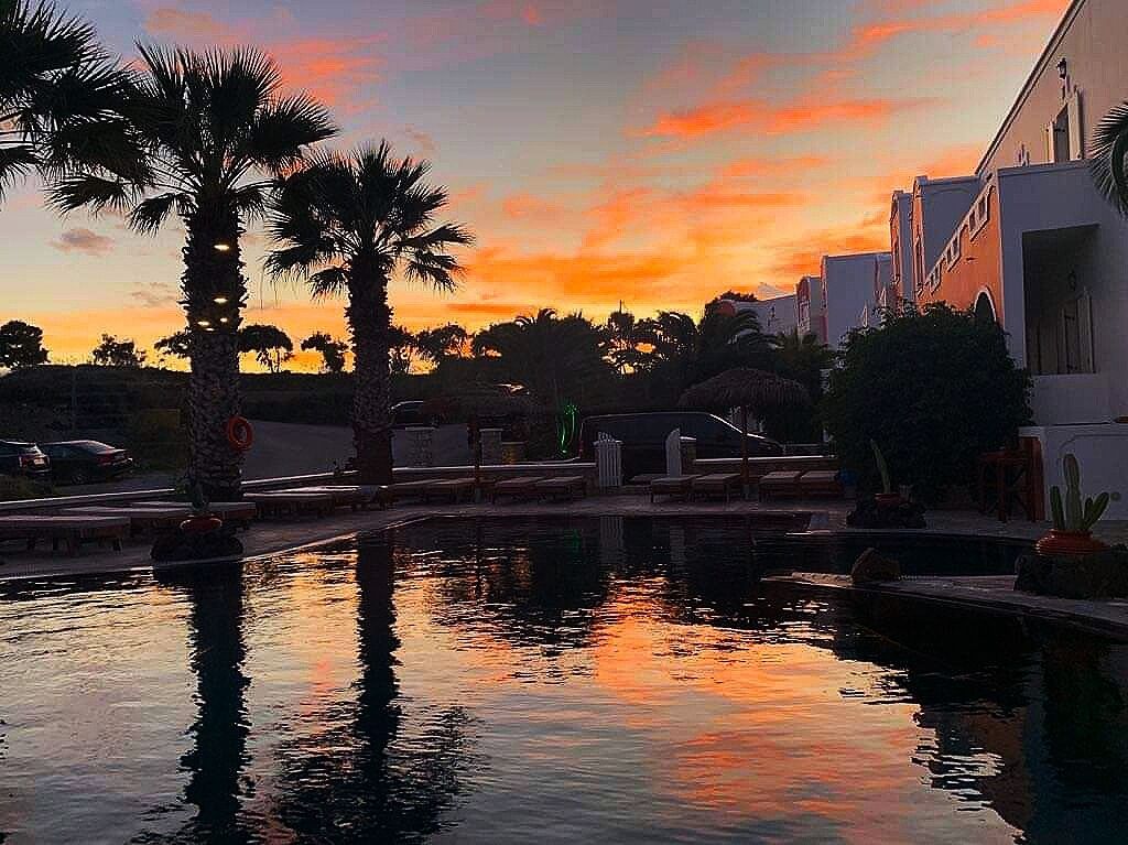A sunset view with palm trees and a pool reflecting the sky.