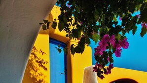 A staircase with a white handrail leading to a blue door, surrounded by yellow walls and a pink flowering plant. - Chroma Suites (Santorini)