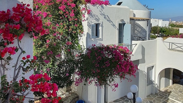 A courtyard with white buildings, pink bougainvillea, and stone flooring. - Teoria Paros | Matsas Windmill (Paros)
