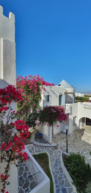 A courtyard with white buildings, pink bougainvillea, and stone flooring. - Teoria Paros | Matsas Windmill (Paros)