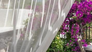 A white mesh umbrella over a chair, a thatched roof structure, and purple bougainvillea flowers in the background.