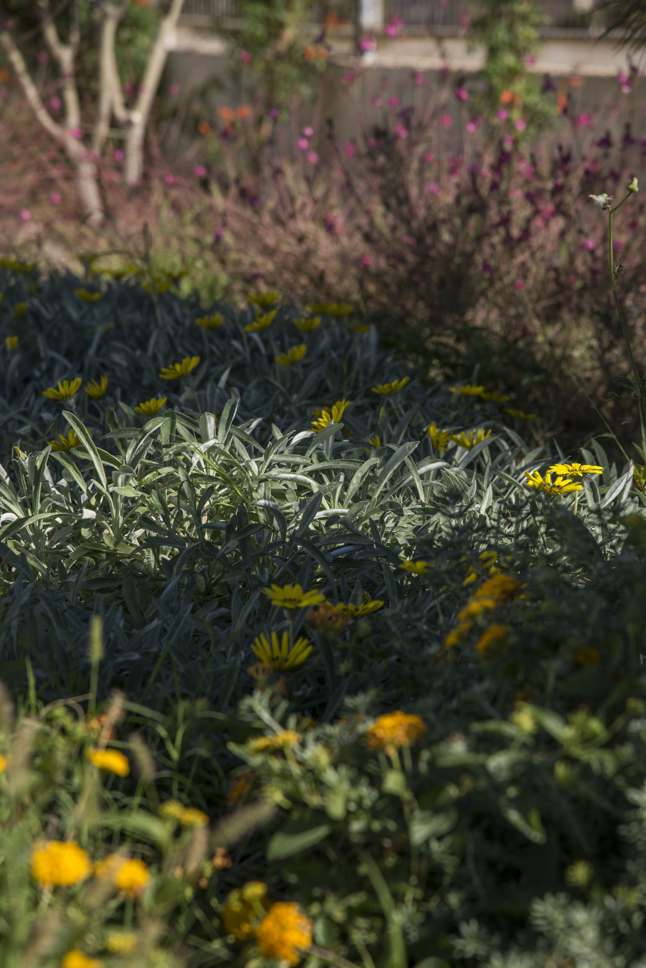 outdoor banquet area