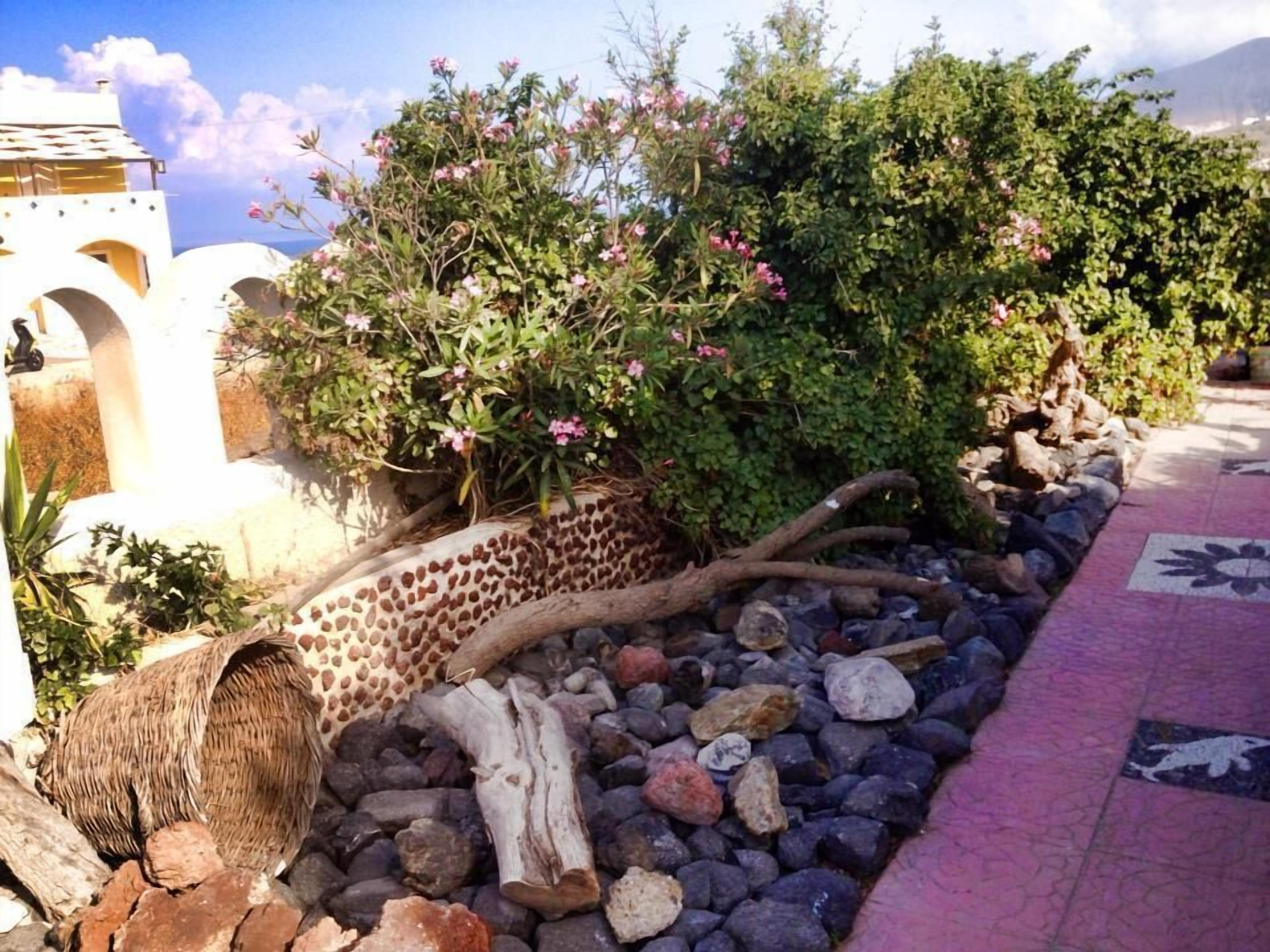 Un jardin où l’on trouve une grande variété de plantes et un tronc d’arbre décoratif.