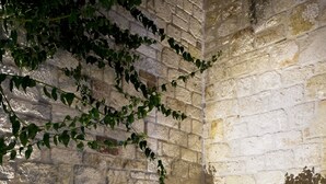 Una habitación de paredes de piedra con chimenea, tres faroles encendidos y hiedra creciendo en la pared.