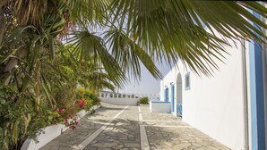 Un sendero empedrado que conduce a un edificio blanco con detalles azules, rodeado de abundante vegetación y palmeras.