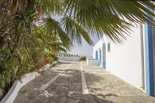A stone-paved pathway leading to a white building with blue accents, surrounded by lush greenery and palm trees.