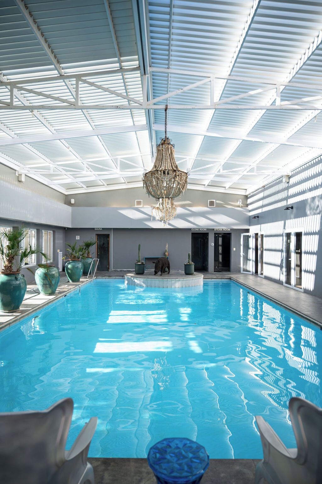 Una piscina interior con techo de cristal, una araña y plantas en macetas alrededor del área de la piscina.
