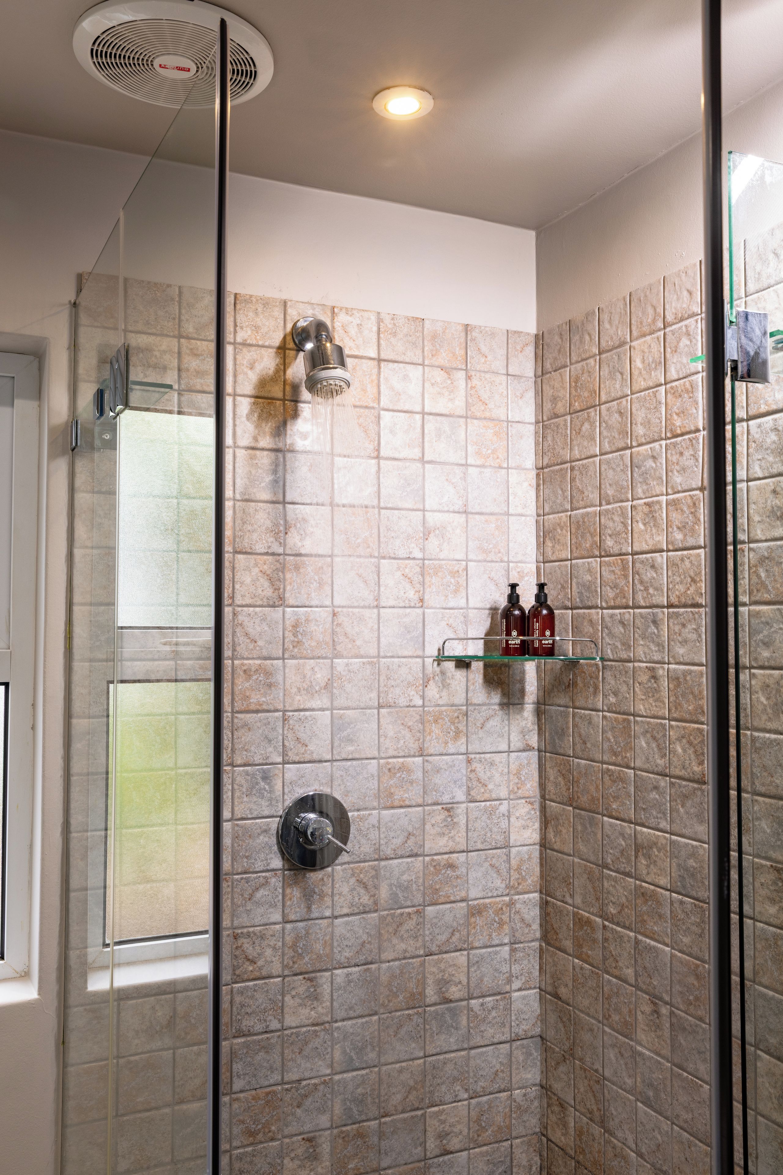 A shower with a glass door, a ceiling fan, and a shelf with two bottles.