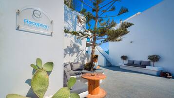 Uma área de recepção com uma planta de cacto, uma mesa de madeira e uma parede branca com a placa de recepção.