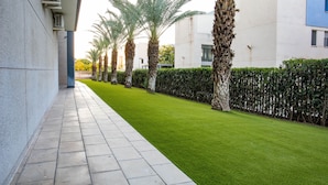 A pathway lined with palm trees and a neatly trimmed hedge, leading to a modern building with a clean, geometric design.