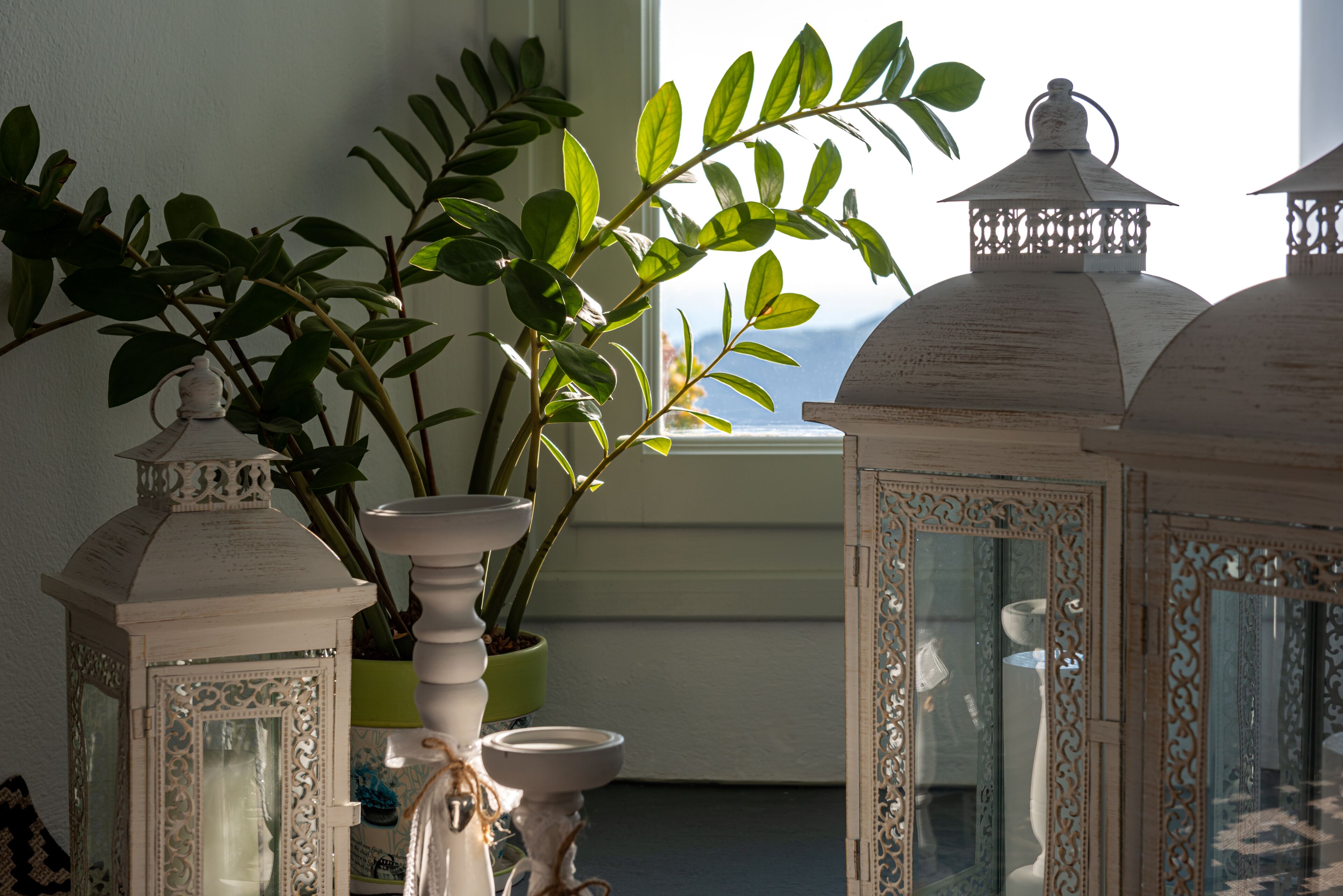 Una habitación con una planta en maceta, un jarrón blanco y faroles decorativos.