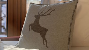 Une chambre avec une fenêtre donnant sur des arbres et des montagnes couverts de neige.