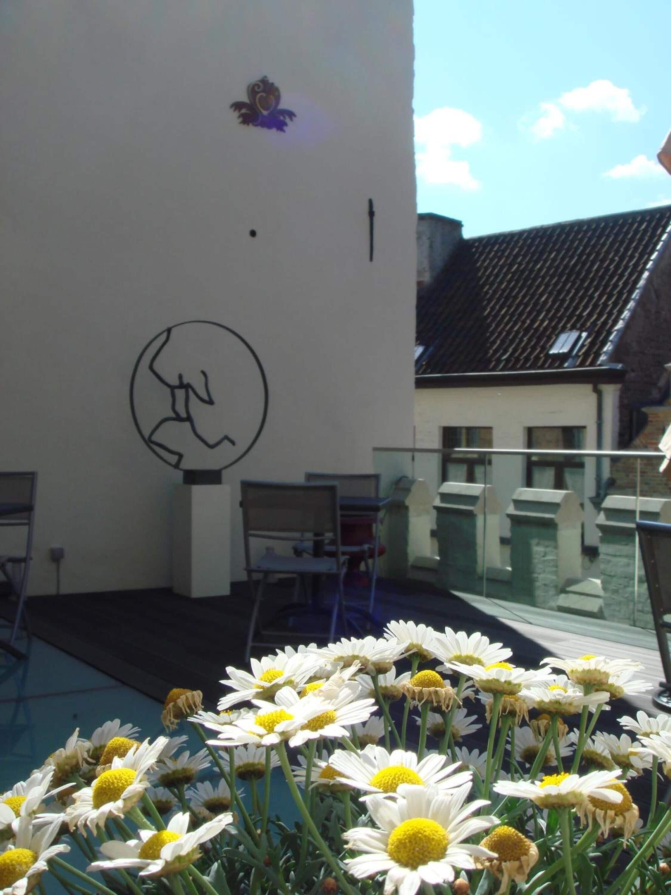 Foto - B&B Huis ´T Schaep