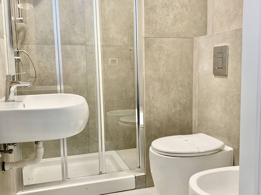 Shower, hair dryer, bidet, towels