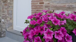 Property entrance - B&B I Girasoli (Lucca)
