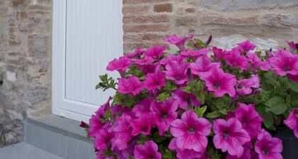 B&B I Girasoli