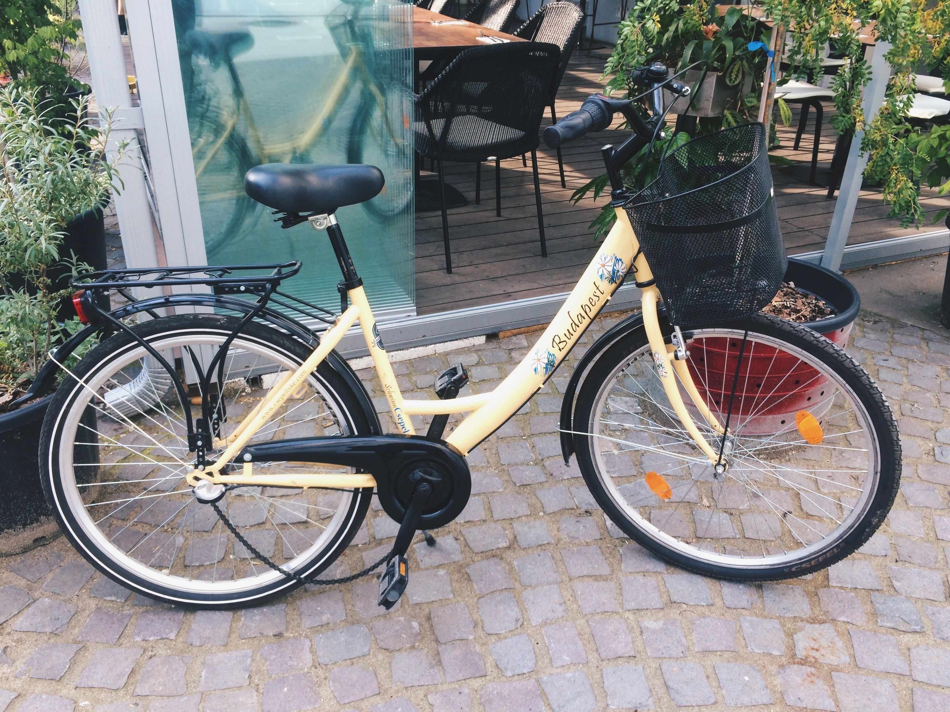 Foto - Maverick Downtown