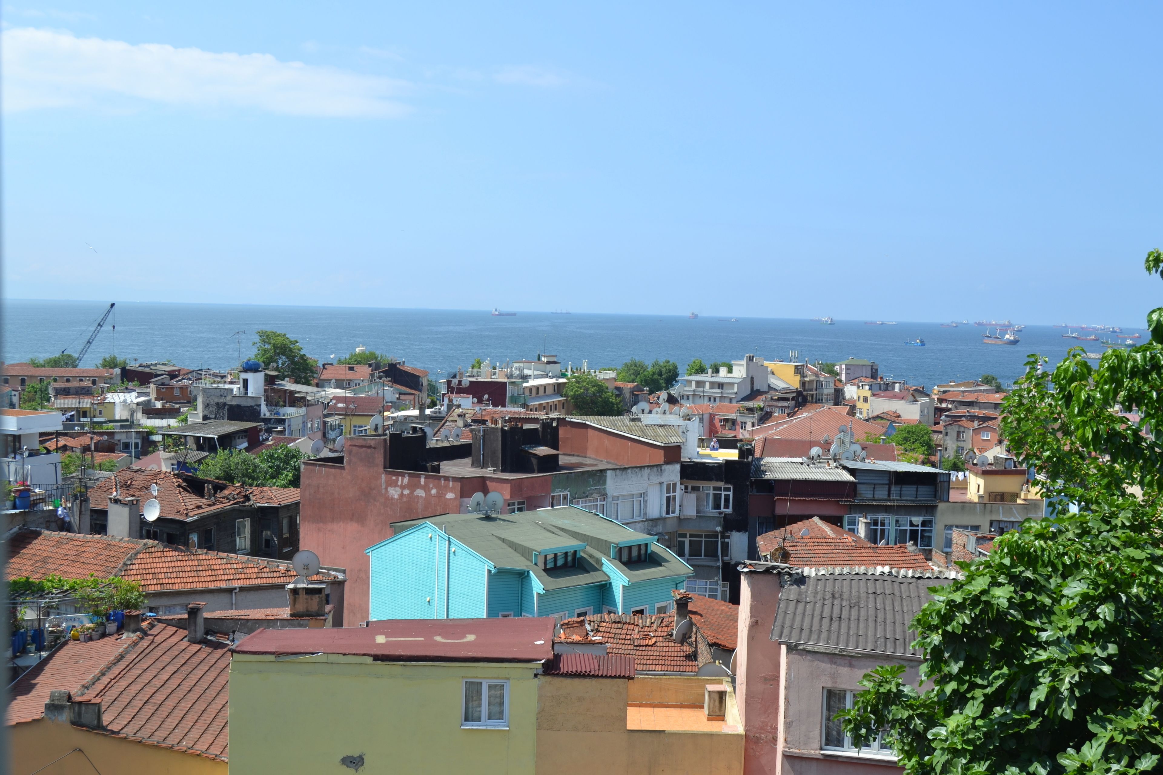 Foto - Hotel Tulip House