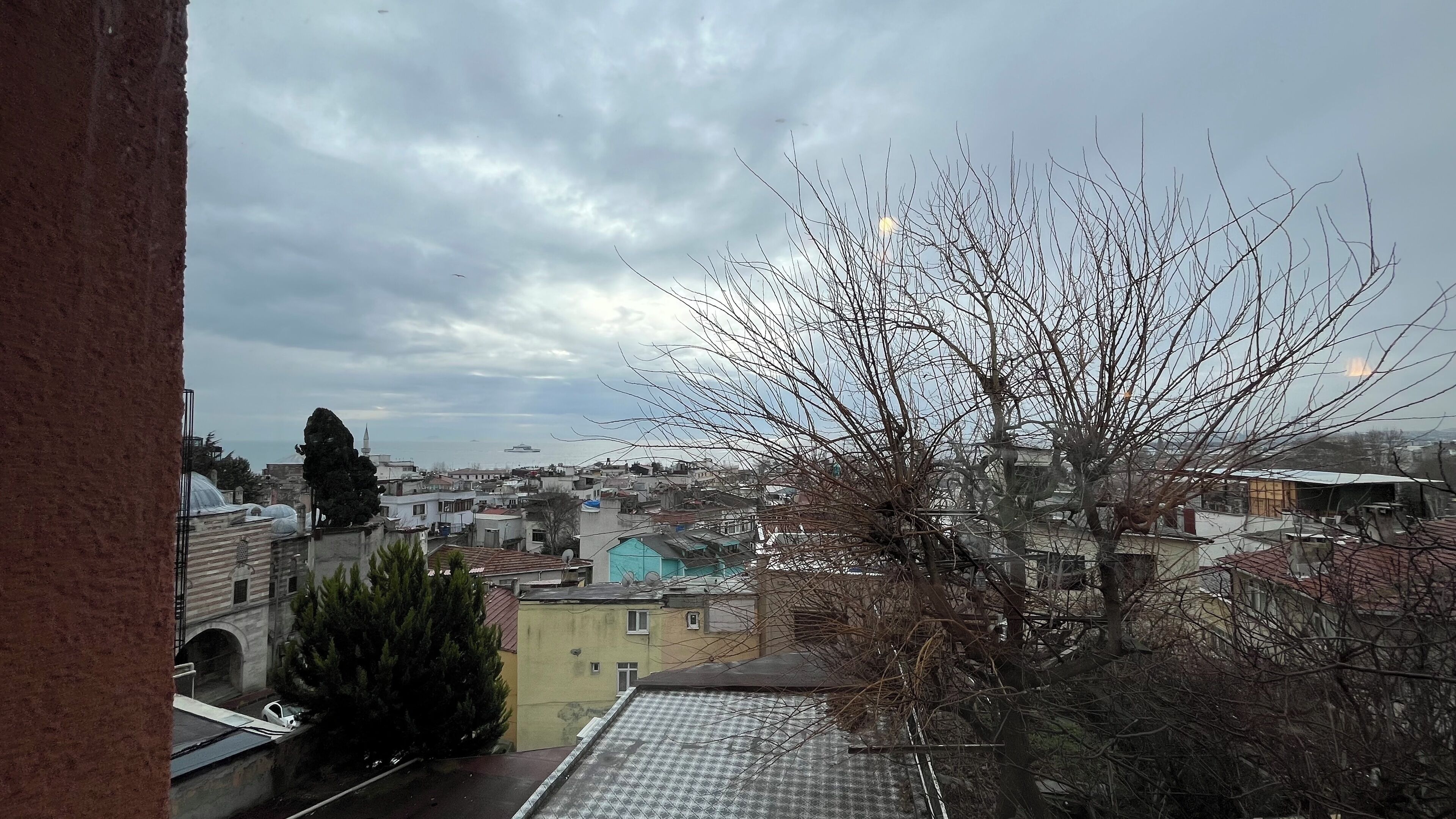 Foto - Hotel Tulip House