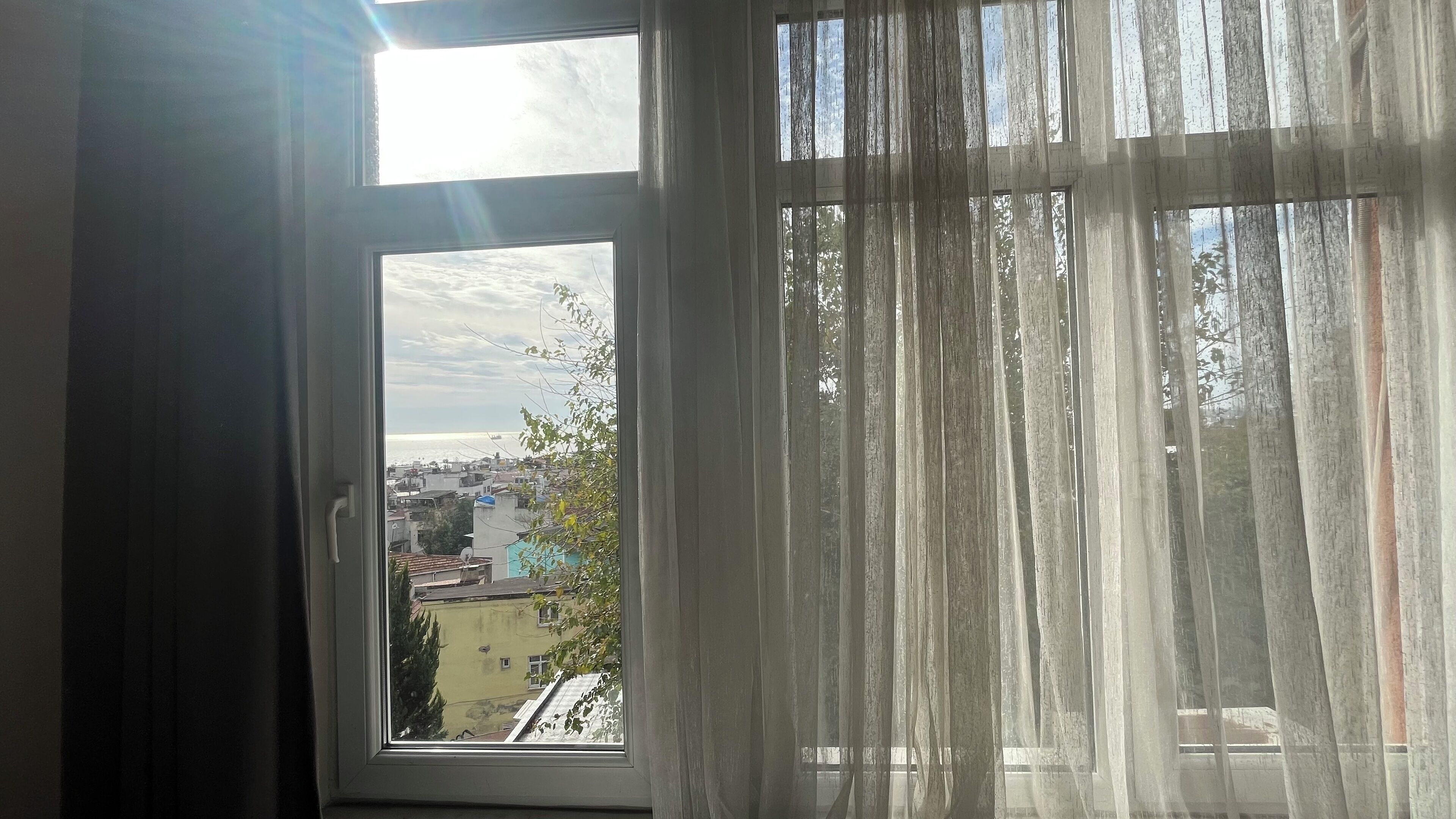 Foto - Hotel Tulip House