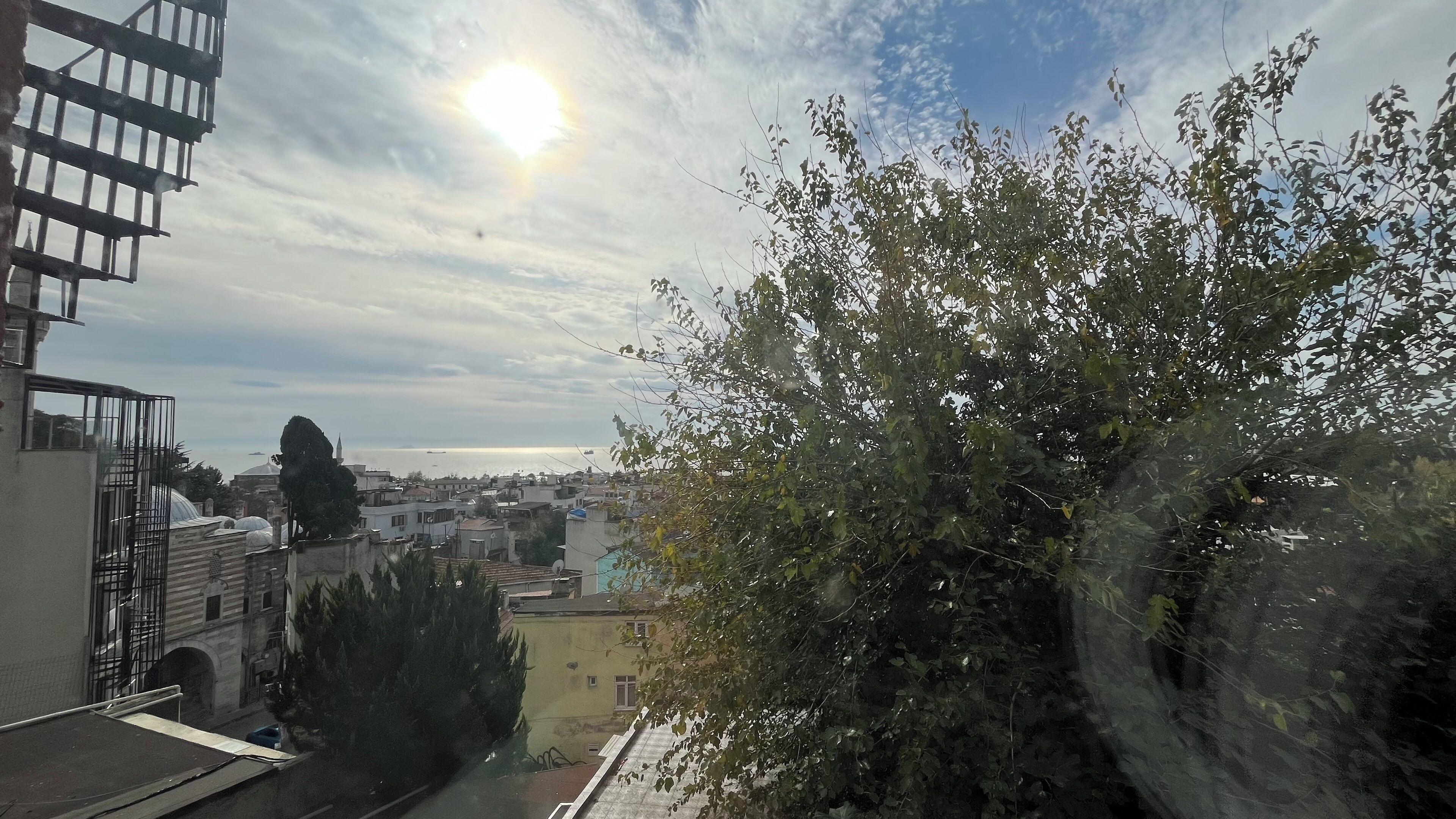 Foto - Hotel Tulip House