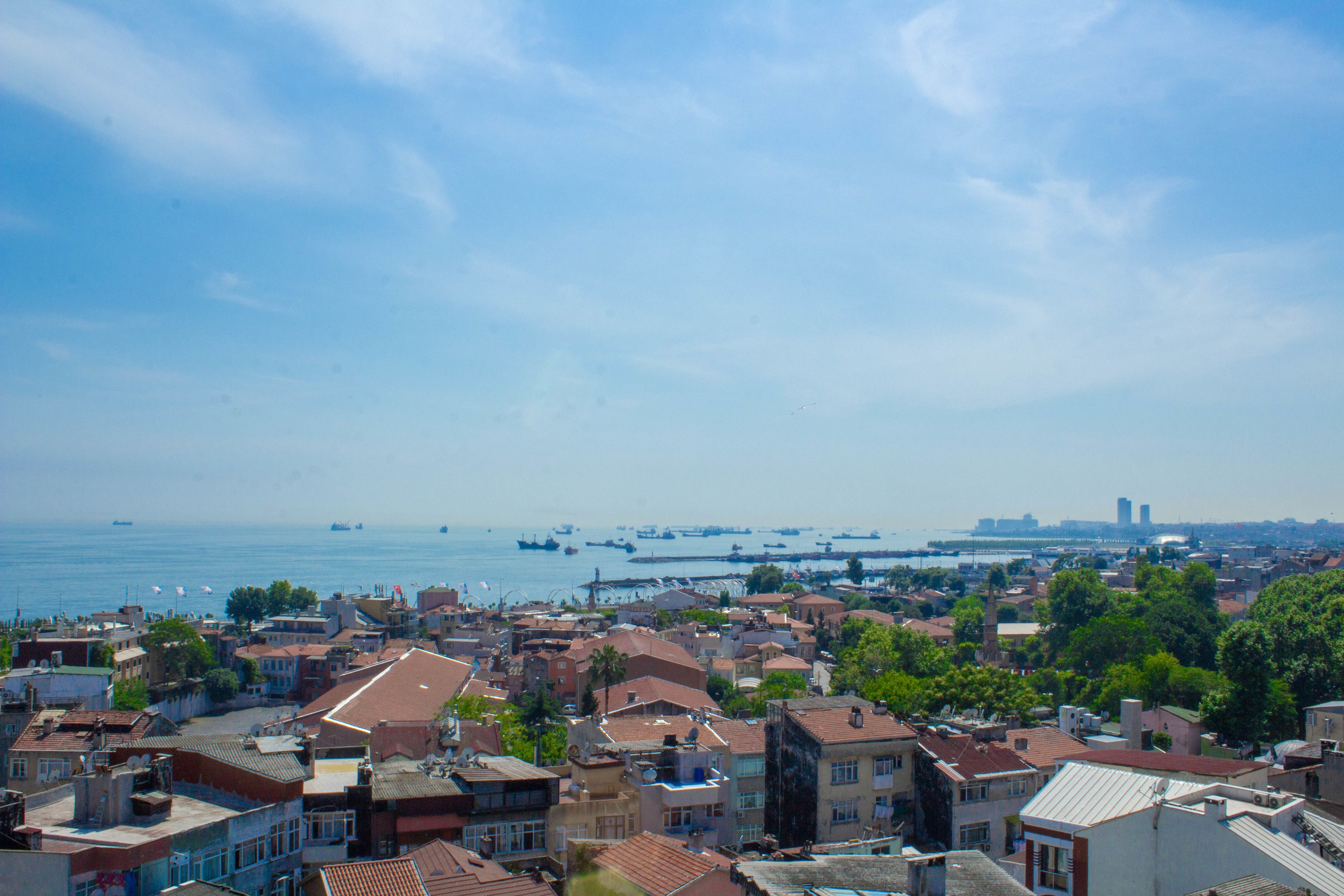 Foto - Hotel Tulip House