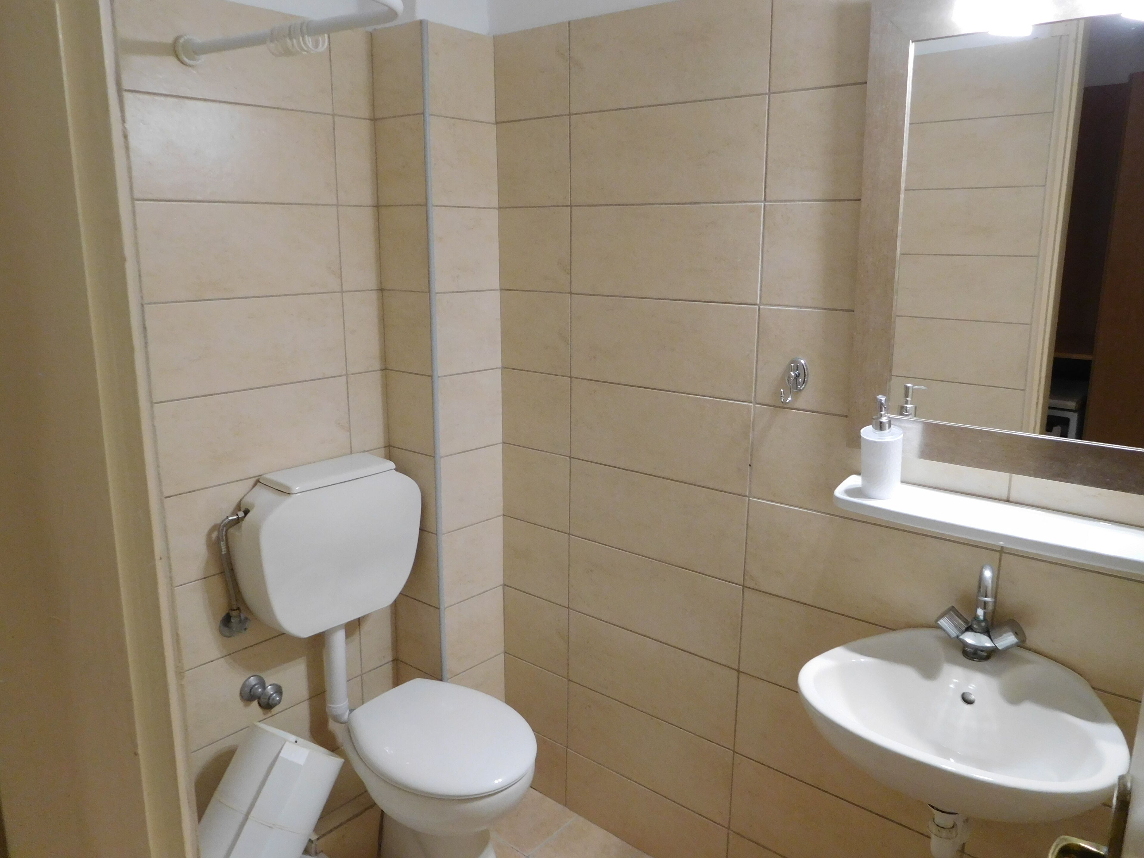 Et badeværelse med toilet, håndvask og spejl.