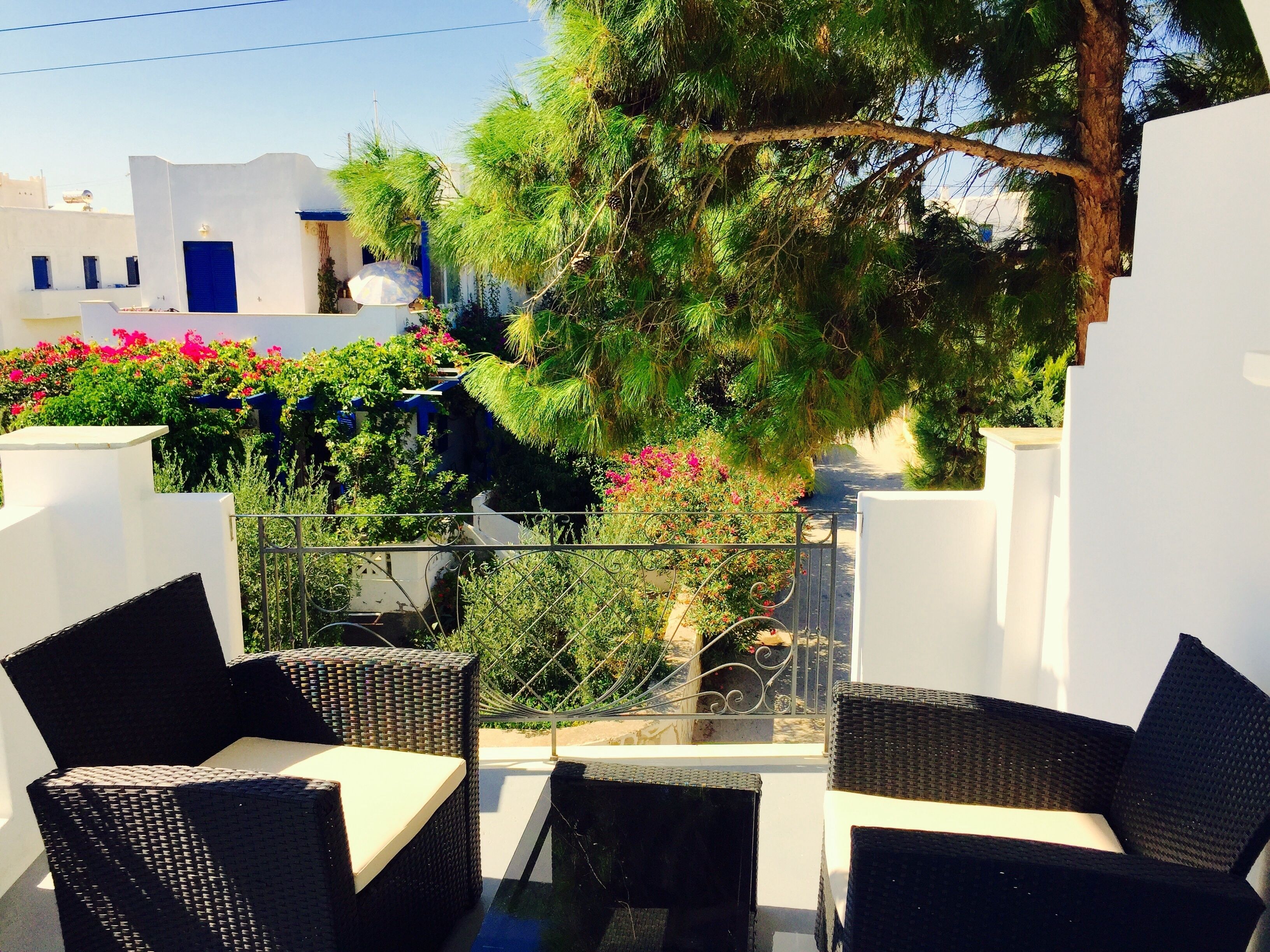 An outdoor seating area with wicker furniture, a tree, and a view of white buildings and colorful flowers.