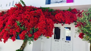 A white building with a balcony and a door. - Afrodite Boutique Hotel (Paros)