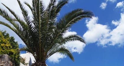 Hotel Manos