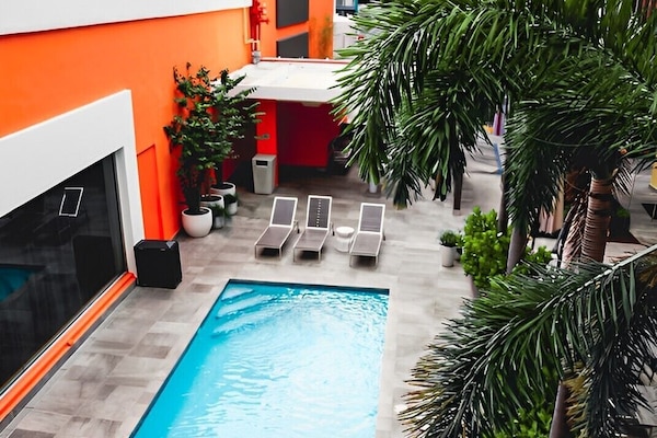 Una piscina al aire libre, sombrillas, sillones reclinables de piscina