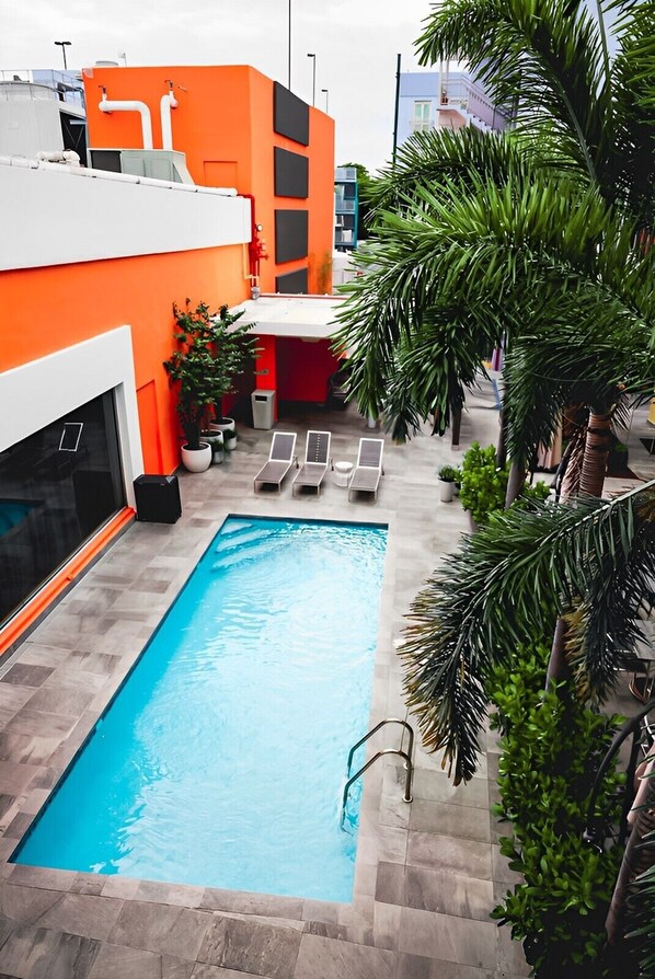 Outdoor pool, pool umbrellas, pool loungers