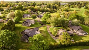 A residential area with houses, green lawns, and trees.