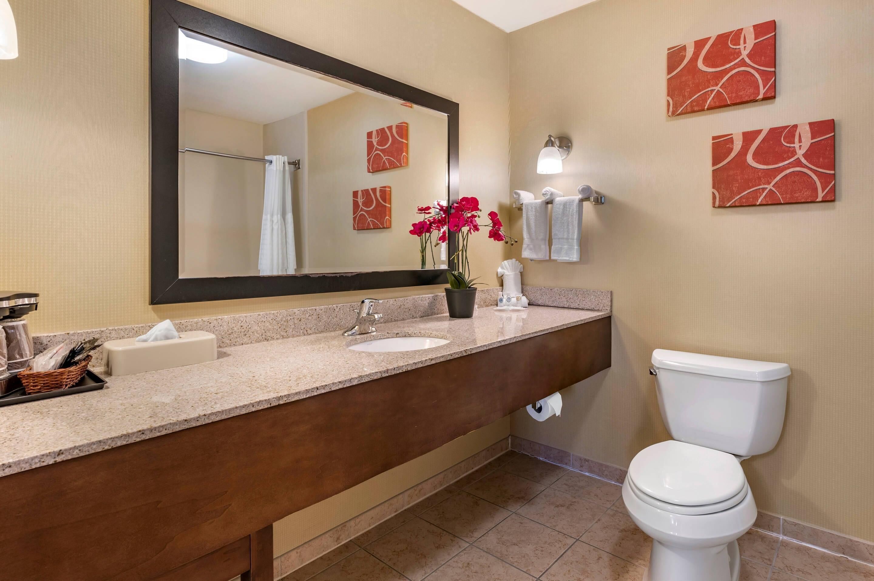 A bathroom with a sink, mirror, toilet, and decorative wall art.