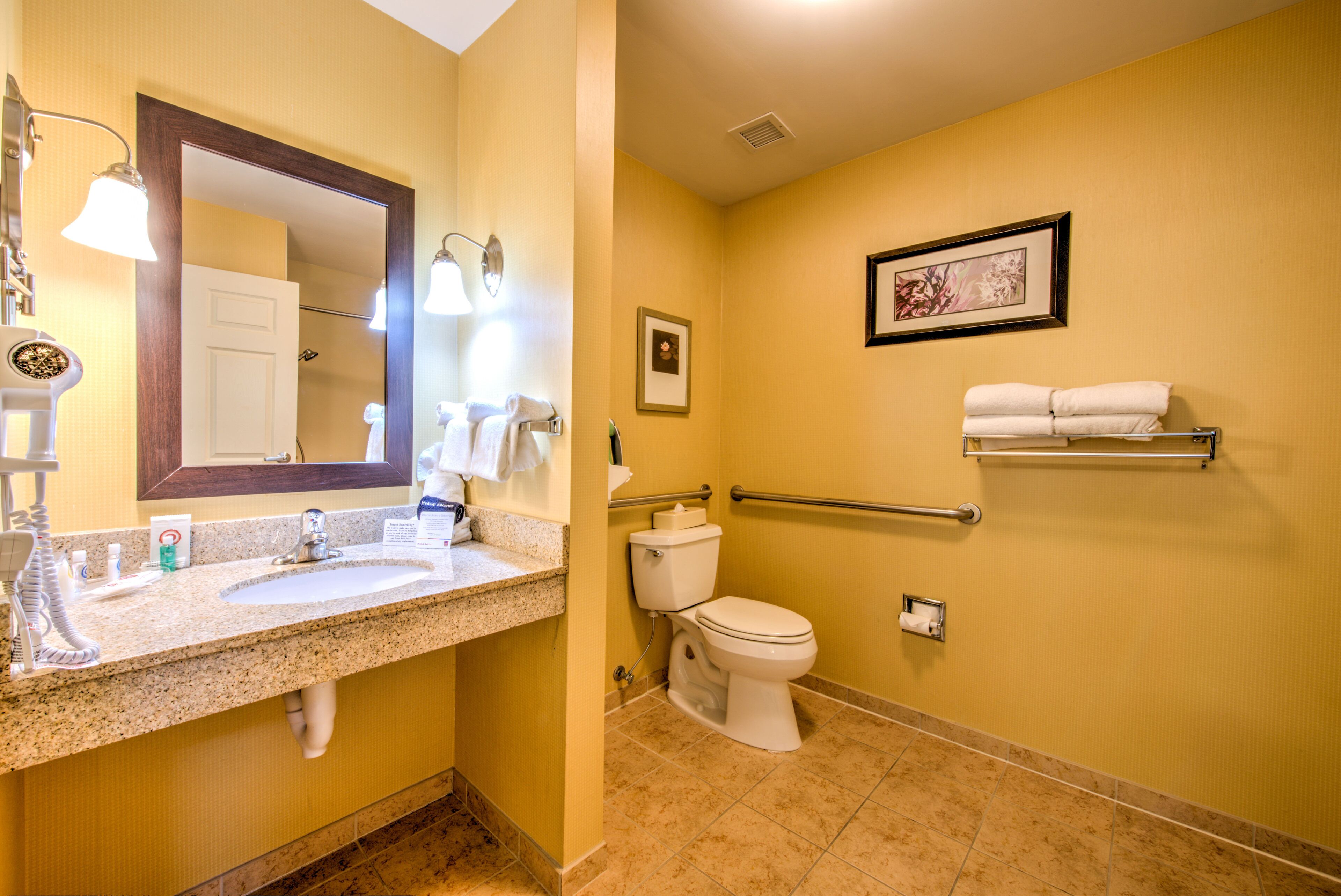 hand-held showerhead