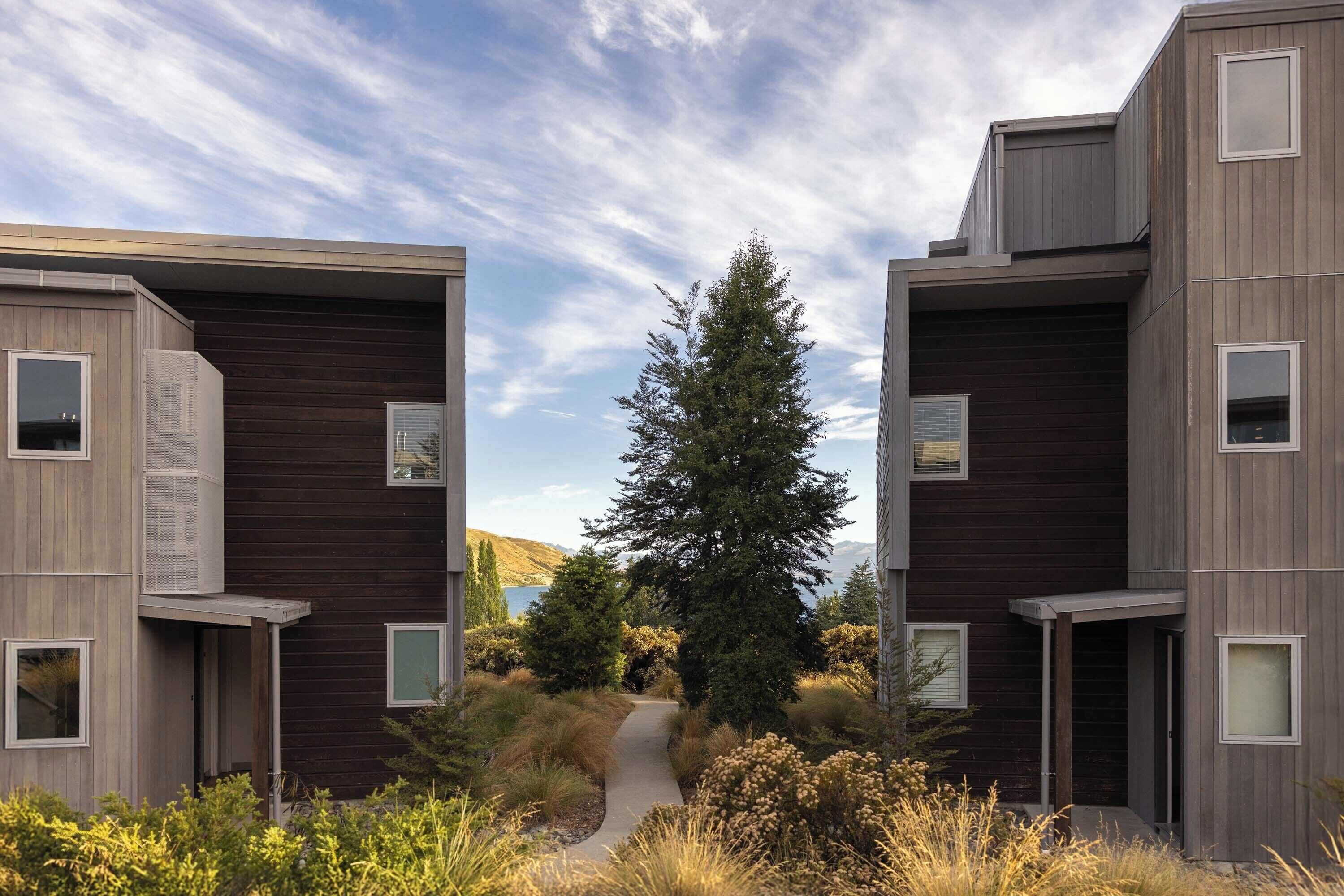 A modern building with a central pathway leading to a large evergreen tree.